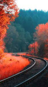 railway autumn forest iPhone 8 ...