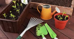 31 of the best gardening kits