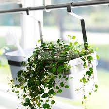 Hanging Window Box From Ikea Gardenista