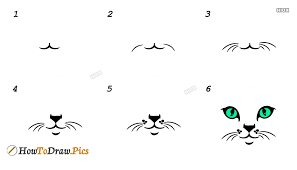 how to draw cat whiskers howtodraw pics