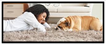 area rug cleaners in gatineau quebec