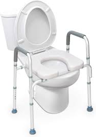 oasise stand alone raised toilet