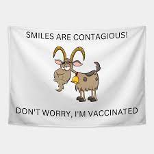 funny goat vaccine grumpy person