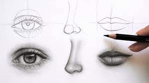 drawing face parts eye nose and lips