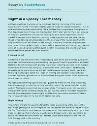 Night in a Spooky Forest Free Essay Example