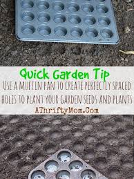 Garden Tips Use Muffin Tin To Create