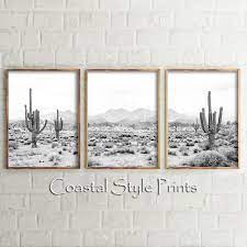 Desert Decor Cactus Wall Art