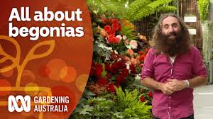 gardening australia