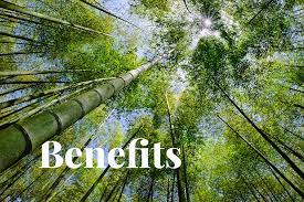 nature benefits does bamboo offer