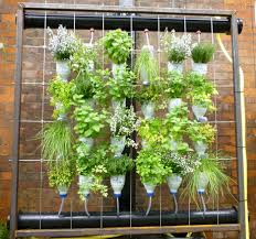 Making Your Own Container Garden From