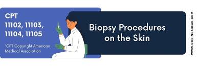 cpt codes for punch biopsy 2022