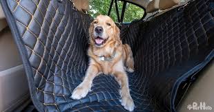 Grab Your Dog Car Seat It S Time For