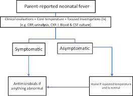 Management Of Neonatal Fever A Proposed Flow Chart