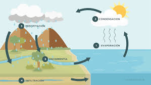 ciclo del agua qué es etapas y