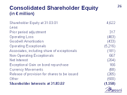 Consolidated Shareholder Equity