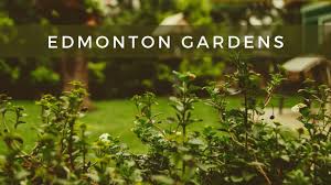 the 6 best edmonton gardens 2023