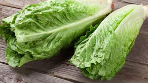 lettuce nutrition calories protein