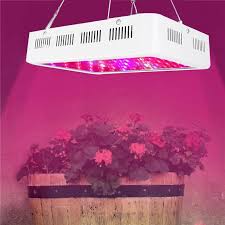 1000w Full Spectrum Led Grow Light For Indoor Greenhouse Hydroponic