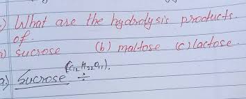 hydrolysis s of b maltose