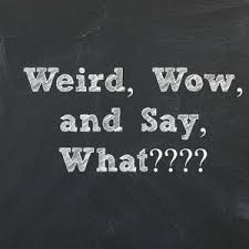 Image result for Say What?