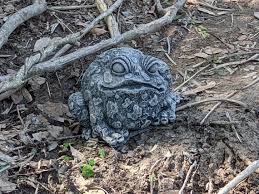 Ugly Toad Concrete Statue Free