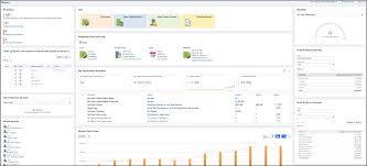 Sample of netsuite custom dashboard elements. Own Your Netsuite With Dashboards