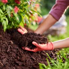 best mulches for south florida the