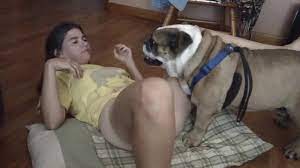 Dog Sex » Girl with bulldog having fun in missionary