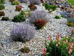 What Is A Gravel Garden Ideas For A
