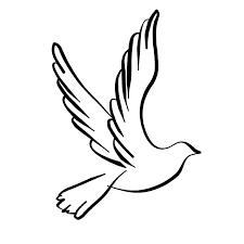 Image result for white dove