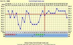 High Fsh And Acupuncture