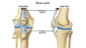 all you need to know about runner s knee