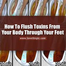 how to flush toxins from your body