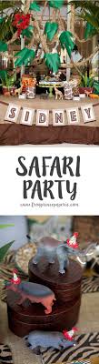 jungle safari birthday party ideas