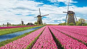 Netherlands Travel Adventure Travel