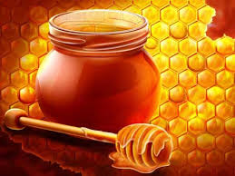 Mật ong cà phê cao nguyên chính hiệu,mật ong cà phê Daklak nguyên chất giá rẻ