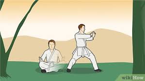 teach yourself the basics of karate