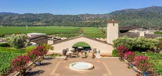 the top 11 wineries in napa valley in 2024