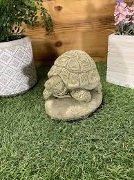 Tortoise Detailed Concrete Ornament