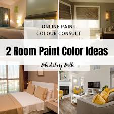 color consultation 2 room paint color
