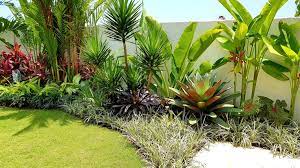 Tropical Landscape Design