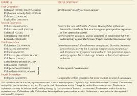 Penicillins Cephalosporins And Other Lactam Antibiotics