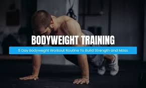 5 day bodyweight workout routine for
