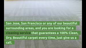 stay dry go green carpet cleaning