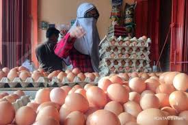 Referensi harga telur ayam ras hari ini rabu, 23 juni 2021. Berita Terbaru Harga Telur Ayam Hari Ini
