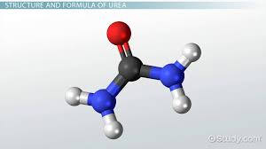 urea structure formula uses