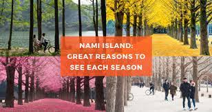 nami island reasons to see each season