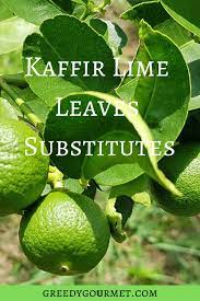 9 kaffir lime leaves subsutes the