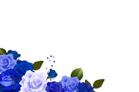 png royal blue roses images free