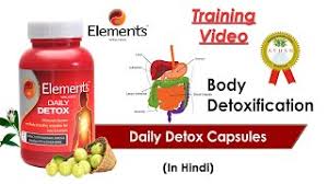 daily detox full training in